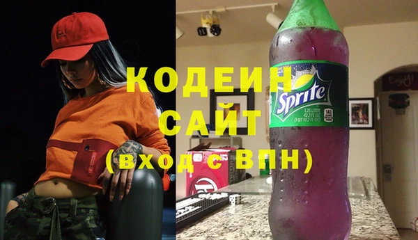 гашик Абаза