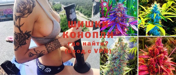 амф Осташков
