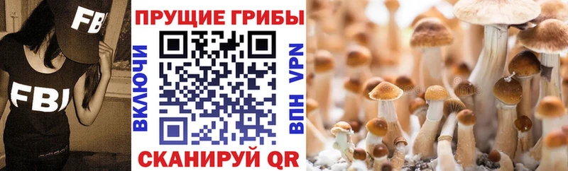 Галлюциногенные грибы GOLDEN TEACHER  Алатырь 